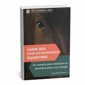 livre guide SEO pour les entreprises équestres pour être 1er sur Google